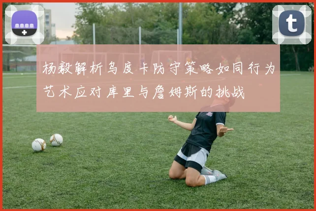 杨毅解析乌度卡防守策略如同行为艺术应对库里与詹姆斯的挑战